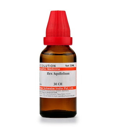Ilex Aquifolium Dilution 6C, 30C, 200C, 1M, 10M, CM