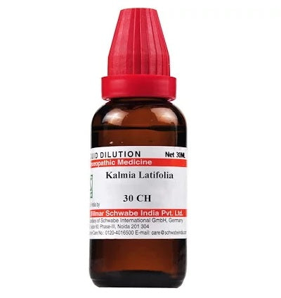 Kalmia Latifolia Dilution 6C, 30C, 200C, 1M, 10M.