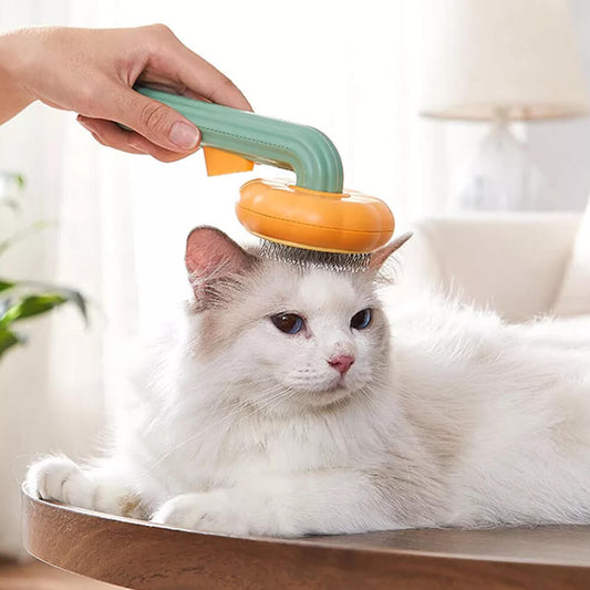 Pumpkin Pop Pet Brush. Shop Pet Combs & Brushes on Mounteen. Worldwide shipping available.